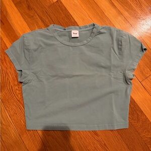 Aritzia cropped t shirt
